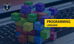 Programming Language Training