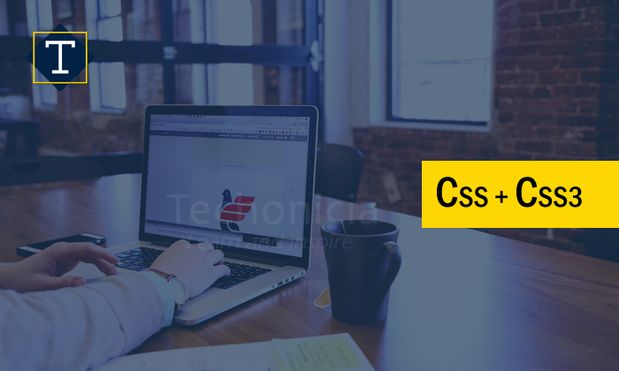 Css & Css3 Training Institute